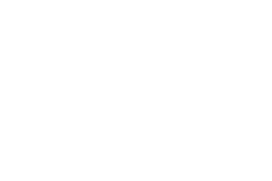 cisu
